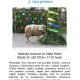 Rok na vsi – 3. část: PODZIM